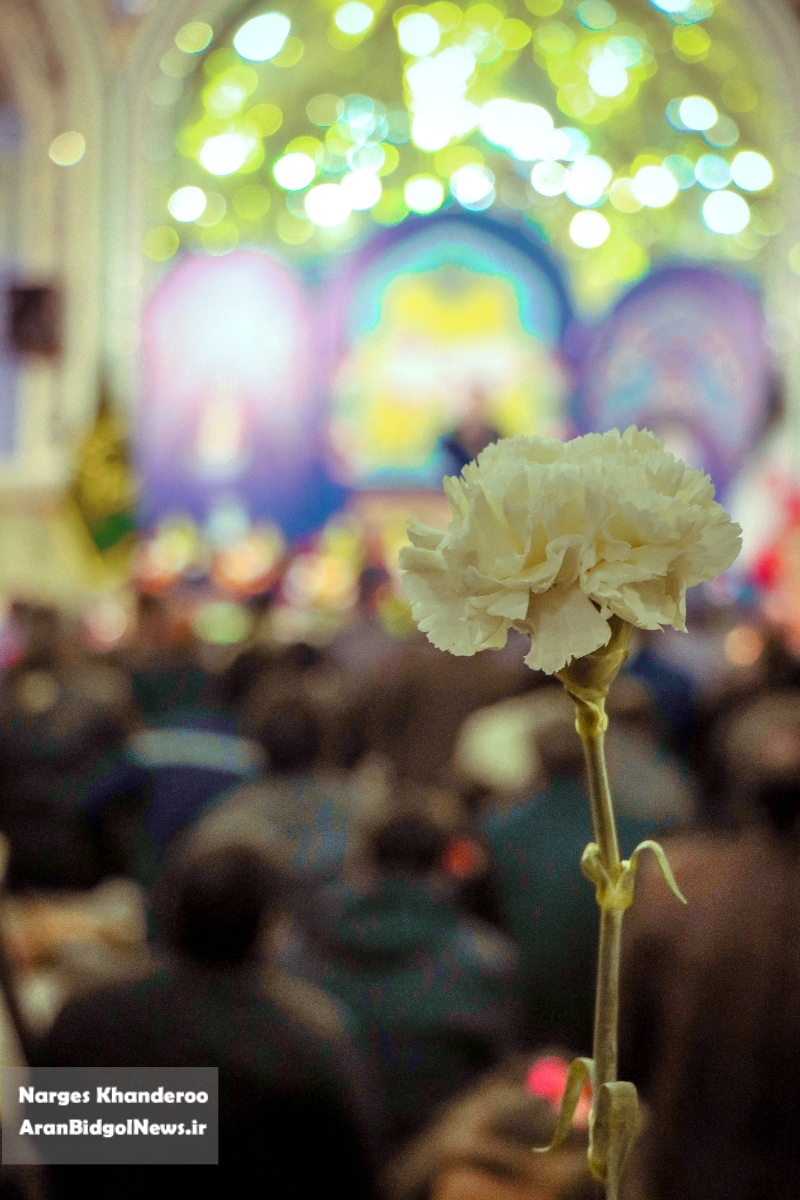 گزارش تصویری از جشن میلاد حضرت محمد هلال بن علی (ع ) در نجف ایران